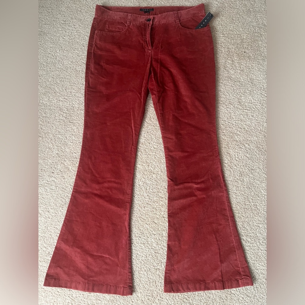BNWT Theory size 12, washed rust color pants.